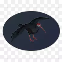 Äñà¹Äñ-¿ÕÈôÍø Äñà¹Äñ-¿ÕÈôÍø