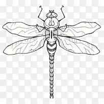 昆虫传粉线艺术剪贴画昆虫-空若网 昆虫传粉线艺术剪贴画昆虫-空若网