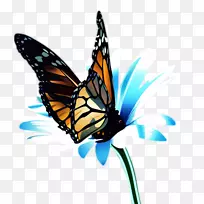 ���������������԰��-������