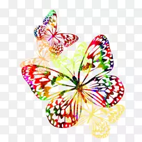 帝王蝴蝶昆虫剪贴画-蝴蝶-空若网 帝王蝴蝶昆虫剪贴画-蝴蝶-空若网