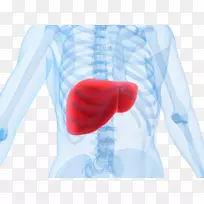 解毒醋氨酚肝食品健康-空若网 解毒醋氨酚肝食品健康-空若网