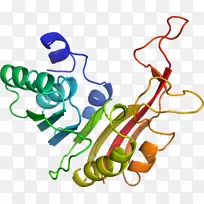 �ߵ������������-������