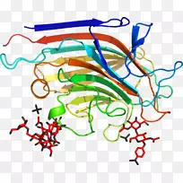 ����ƽ����Ƶ��������-������