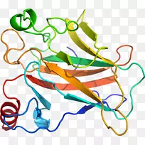 线点生物剪贴画线-空若网 线点生物剪贴画线-空若网