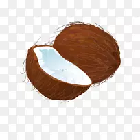 椰子下载-椰子-空若网 椰子下载-椰子-空若网