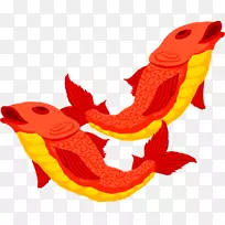 天象星座水瓶座双鱼座星座黄道-水瓶座-空若网 天象星座水瓶座双鱼座星座黄道-水瓶座-空若网