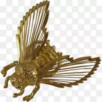 昆虫传粉针-空若网 昆虫传粉针-空若网