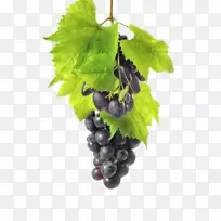 红葡萄酒普通葡萄藤Zante醋栗奥格里斯葡萄-空若网 红葡萄酒普通葡萄藤Zante醋栗奥格里斯葡萄-空若网