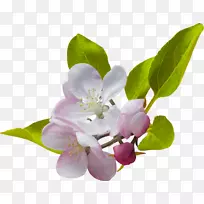 �����ֽ������.����-������