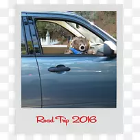 ���˳��ų������Ӿ���-������