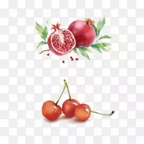石榴水彩画插图-樱桃石榴-空若网 石榴水彩画插图-樱桃石榴-空若网