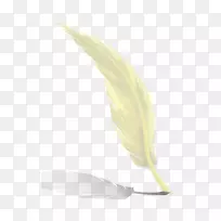 黄色羽毛材料.白色羽毛-空若网 黄色羽毛材料.白色羽毛-空若网