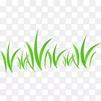 下载-草-空若网 下载-草-空若网