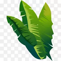 ����-��ɫ�ͼ򵥵Ĳ�-������