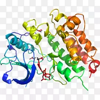 人体首饰有机体线剪贴画线-空若网 人体首饰有机体线剪贴画线-空若网