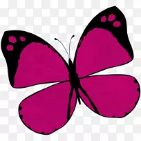帝王蝴蝶,纳弗博客,剪贴画-蝴蝶-空若网 帝王蝴蝶,纳弗博客,剪贴画-蝴蝶-空若网
