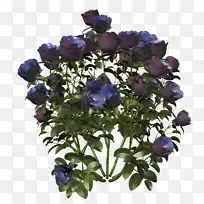 三维空间切花-绣球-空若网 三维空间切花-绣球-空若网