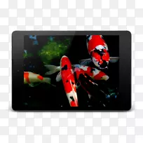 锦鲤Android下载-koi-空若网 锦鲤Android下载-koi-空若网