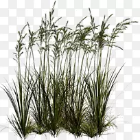 ������-l-������