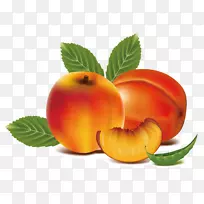 桃子剪贴画-桃子-空若网 桃子剪贴画-桃子-空若网