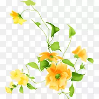 花卉设计切花花束郁金香花-空若网 花卉设计切花花束郁金香花-空若网