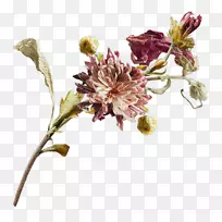 �л�������-������