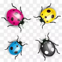 ����ư�濨ͨư���ͼ.��ɫ����-������