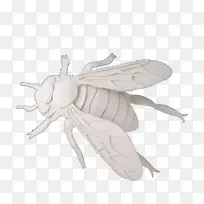 蜜蜂昆虫纸切纸昆虫蝉-空若网 蜜蜂昆虫纸切纸昆虫蝉-空若网