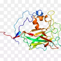 人体行为有机体点剪贴画线-空若网 人体行为有机体点剪贴画线-空若网