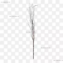 草线角白色字体线-空若网 草线角白色字体线-空若网