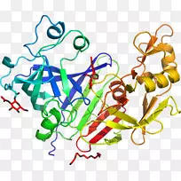 �ߵ������-��-������