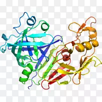 人体首饰有机体线剪贴画线-空若网 人体首饰有机体线剪贴画线-空若网