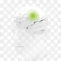 癌症医学佳能医疗系统公司医学影像-空若网 癌症医学佳能医疗系统公司医学影像-空若网