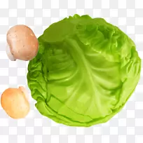 ����-�������Ĳ�-������