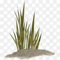 ���������-��-������