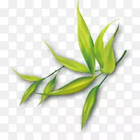 水彩画剪贴画-草-空若网 水彩画剪贴画-草-空若网