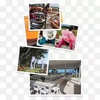 һ�����ѾƳ�Coromandel�뵺�����������ͨ������-����Ȳ�-������