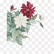 ĵ�����ֺ�ĵ������-������