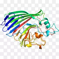 �ߵ������������-������