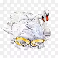 婚礼请柬剪贴簿婚礼蛋糕手绘天鹅-空若网 婚礼请柬剪贴簿婚礼蛋糕手绘天鹅-空若网