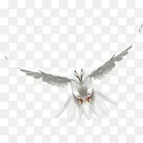 ��ë�����갲��³�����-��ë-������