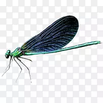 ���ѷ��-������С����-������