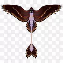 鹰嘴对称-空若网 鹰嘴对称-空若网