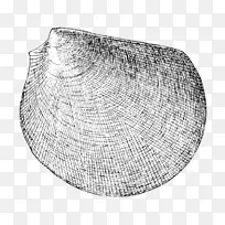 白人-人-空若网 白人-人-空若网