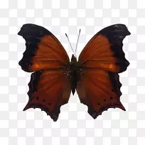 ����������-������