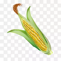 ÓñÃ×ÍøÕ¾ä¯ÀÀÆ÷ÉϵÄÓñÃ×-¿ÕÈôÍø ÓñÃ×ÍøÕ¾ä¯ÀÀÆ÷ÉϵÄÓñÃ×-¿ÕÈôÍø