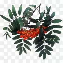 ÂÞÎÄɽÀæÌǽ¬¼ôÌù»-Ïç´å-¿ÕÈôÍø ÂÞÎÄɽÀæÌǽ¬¼ôÌù»-Ïç´å-¿ÕÈôÍø