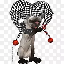 小丑猫卡通插画-小丑卡通猫-空若网 小丑猫卡通插画-小丑卡通猫-空若网