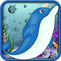 普通宽吻海豚海洋生物鱼类海豚-空若网 普通宽吻海豚海洋生物鱼类海豚-空若网