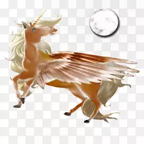 鹿野生动物-鹿-空若网 鹿野生动物-鹿-空若网